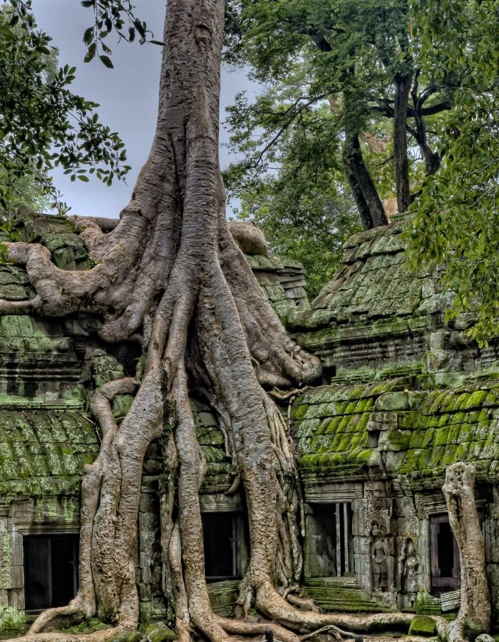 temple cambodge